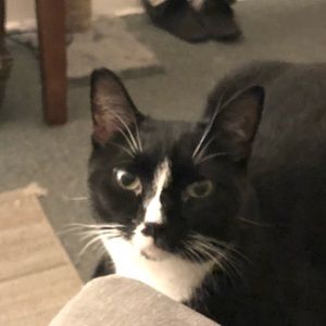 Meet your Posher, Brian